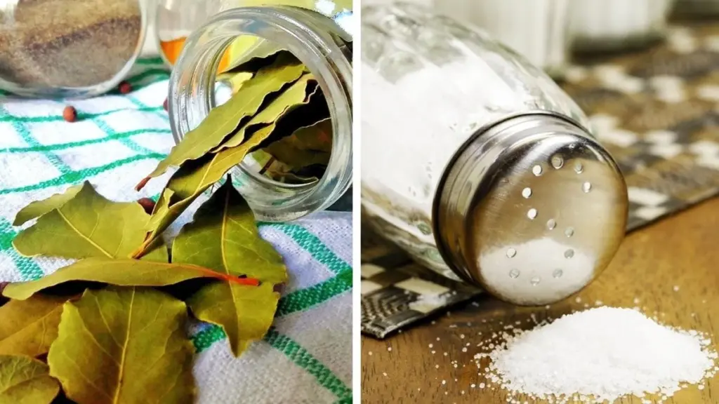 5 anledningar att blanda lagerlöv och bikarbonat – din städning kommer aldrig bli densamma