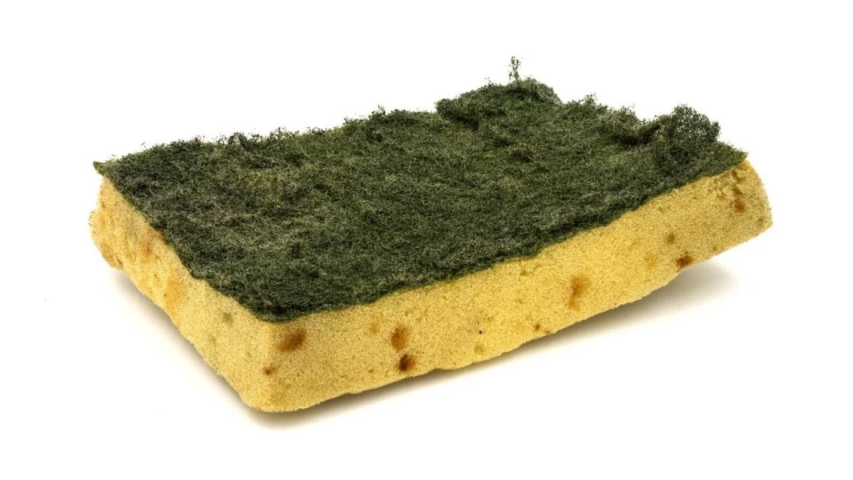 80 000 bakterier: Din vardagssak är smutsigare än toaletten - image 1