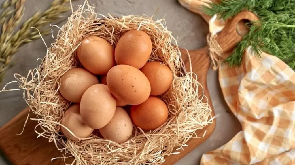 Farmägg vs. butiksägg: Forskning visar om det är värt att betala extra