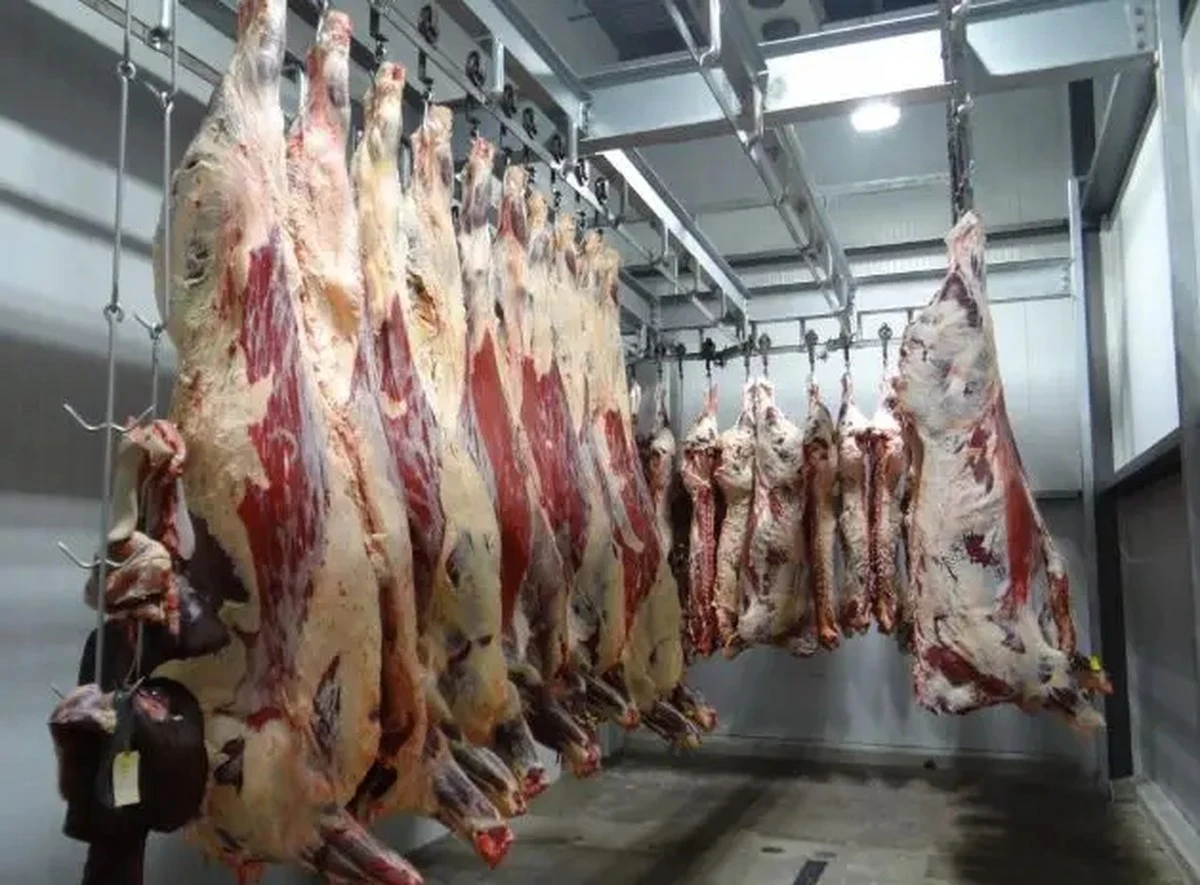 Så länge kan du verkligen förvara kött i frysen – och när blir det en hälsorisk - image 1