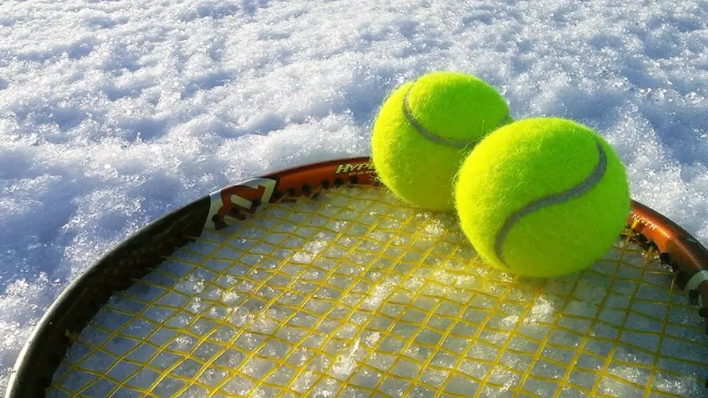 Tennisbollar i trädgården: Så räddar de fåglar och igelkottar i vinter
