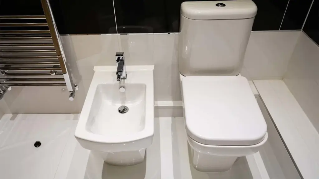 Varför bidéer försvinner från nya hem: Denna hygieniska dusch tar över