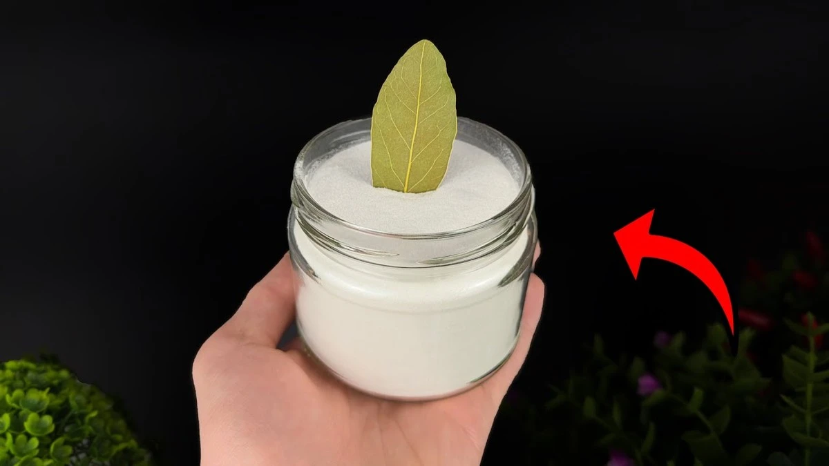 Varför experter blandar lagerblad och bikarbonat – hemligheten bakom doft och renhet - image 1