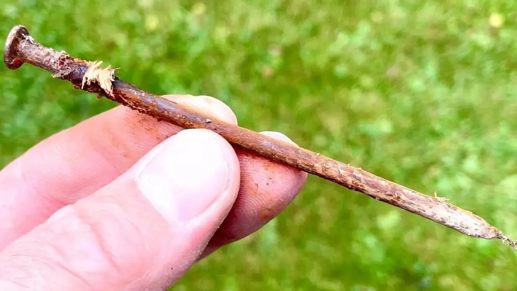 Varför gamla trädgårdsmästare grävde ner rostig metall vid rosenbuskar